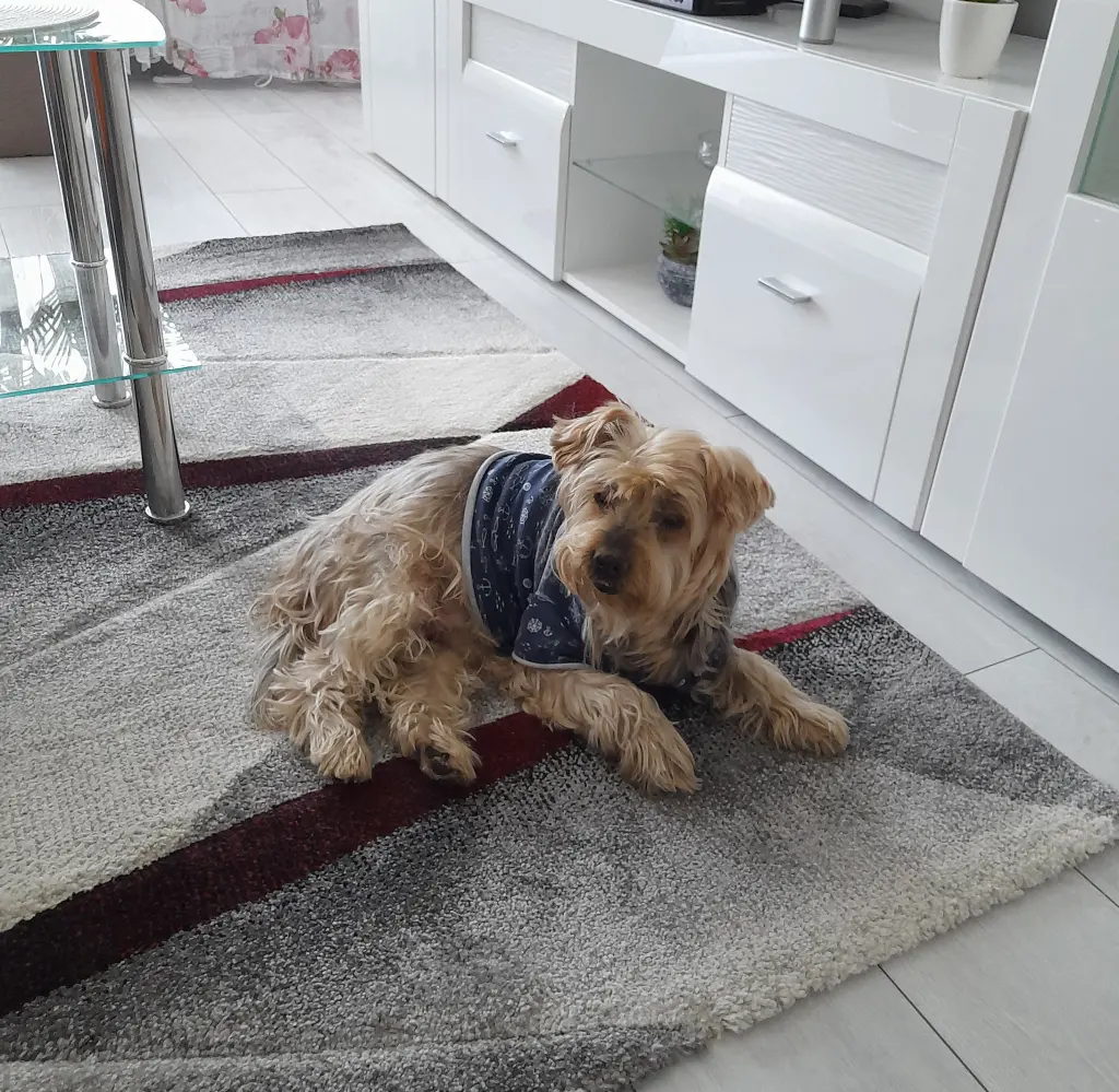 Condolence image of Ewa & Krzysztof 