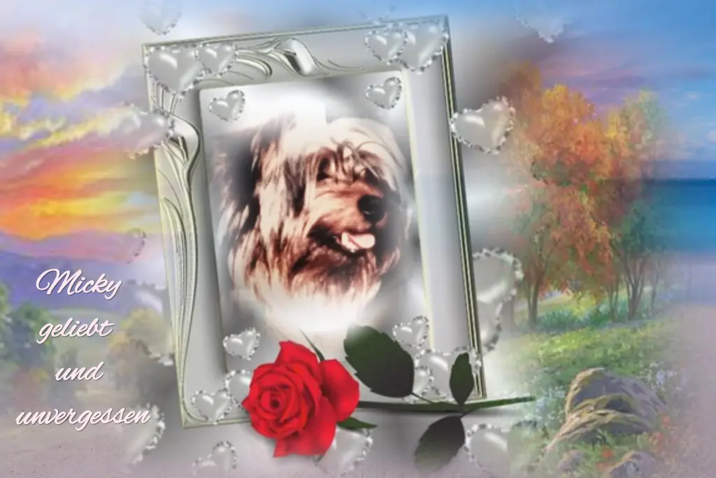 Condolence image of ❤️You never walk alone❤️