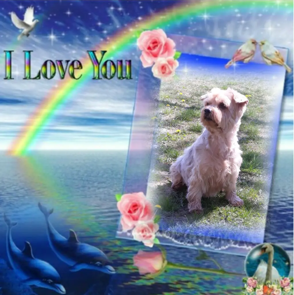 Condolence image of Ewa & Krzysztof 