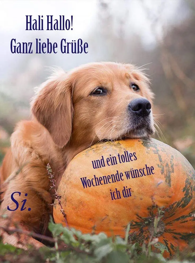 Condolence image of Claudia/ASKO ❤️ 