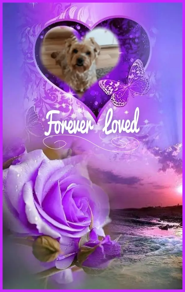 Condolence image of 54. Tygodnie Bez Ciebie❤️⭐️Maleńki❤️❤️❤️❤️Jackusiu❤️⭐️