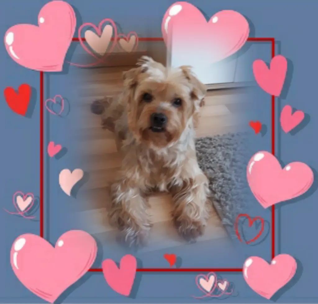 Condolence image of Ewa & Krzysztof 