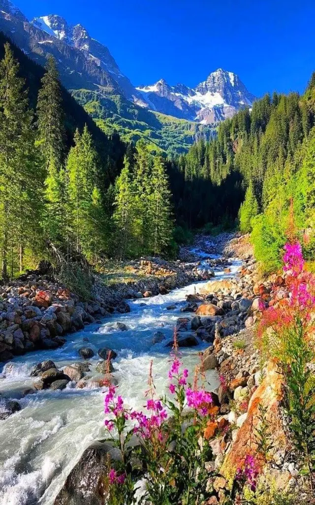 Condolence image of ❤️Side by Side ❤️