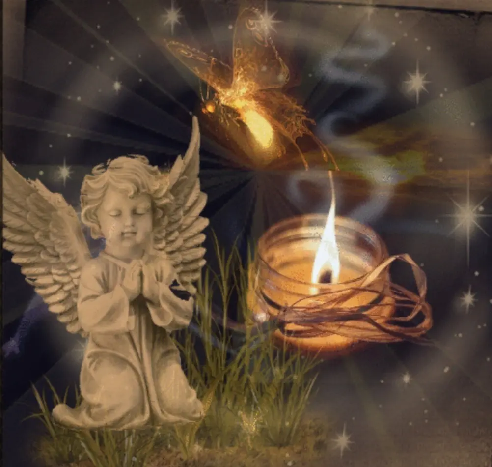 Condolence image of ⭐️❤️Gute Nacht Jackusiu❤️⭐️