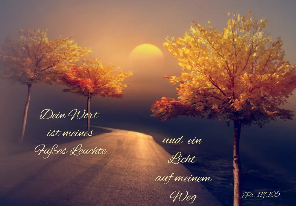 Condolence image of Dobranoc ❤️Jacki ❤️