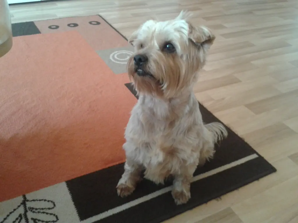 Condolence image of Ewa & Krzysztof 