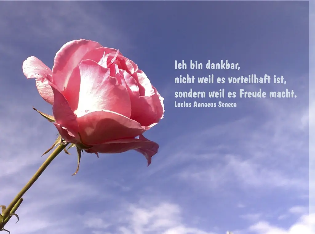 Condolence image of ❤️❤️