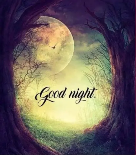 Condolence image of ⭐️❤️Gute Nacht Jackusiu❤️⭐️