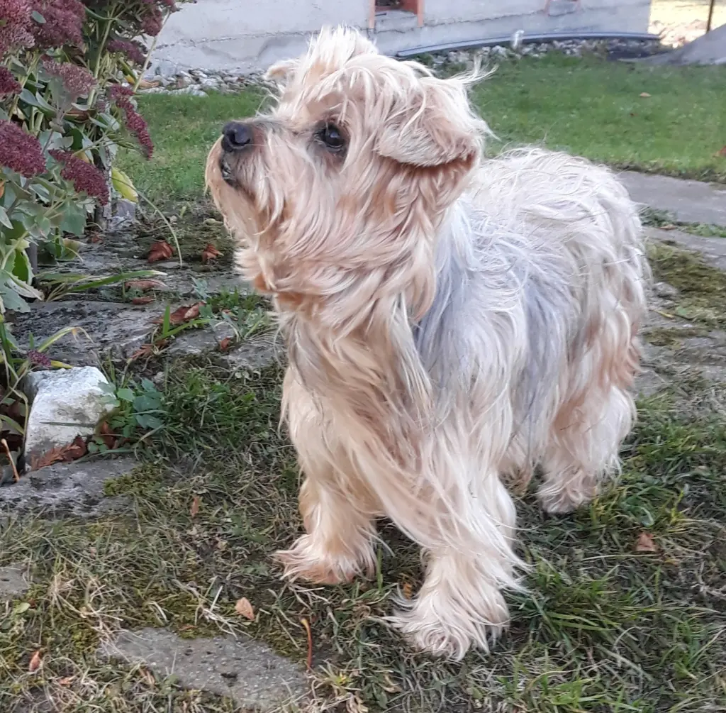 Condolence image of Ewa & Krzysztof 