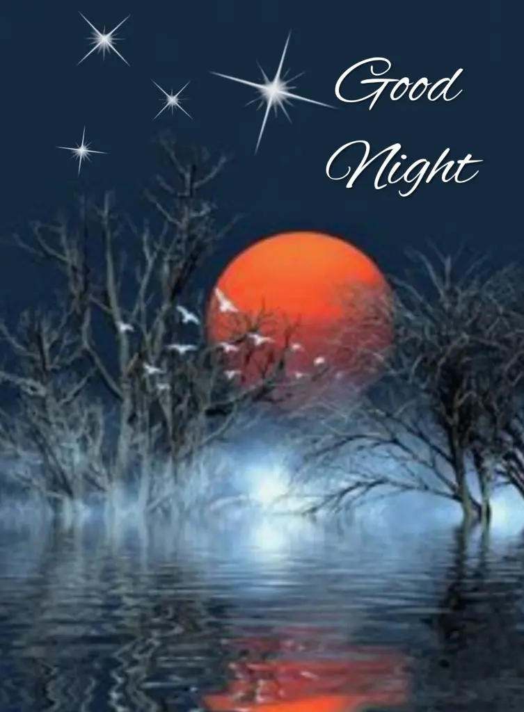 Condolence image of ⭐️❤️Gute Nacht Jackusiu❤️⭐️