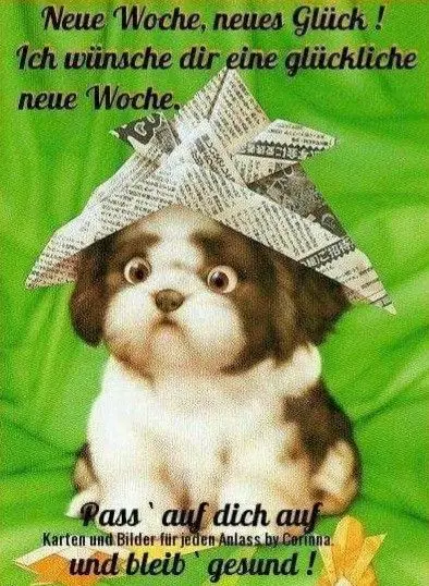 Condolence image of Claudia/ASKO ❤️ 