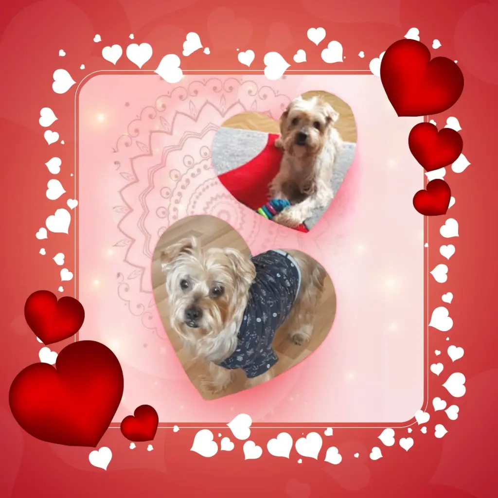 Condolence image of 55.Tygodni Bez Ciebie❤️⭐️Kochany❤️❤️❤️Jackusiu❤️⭐️