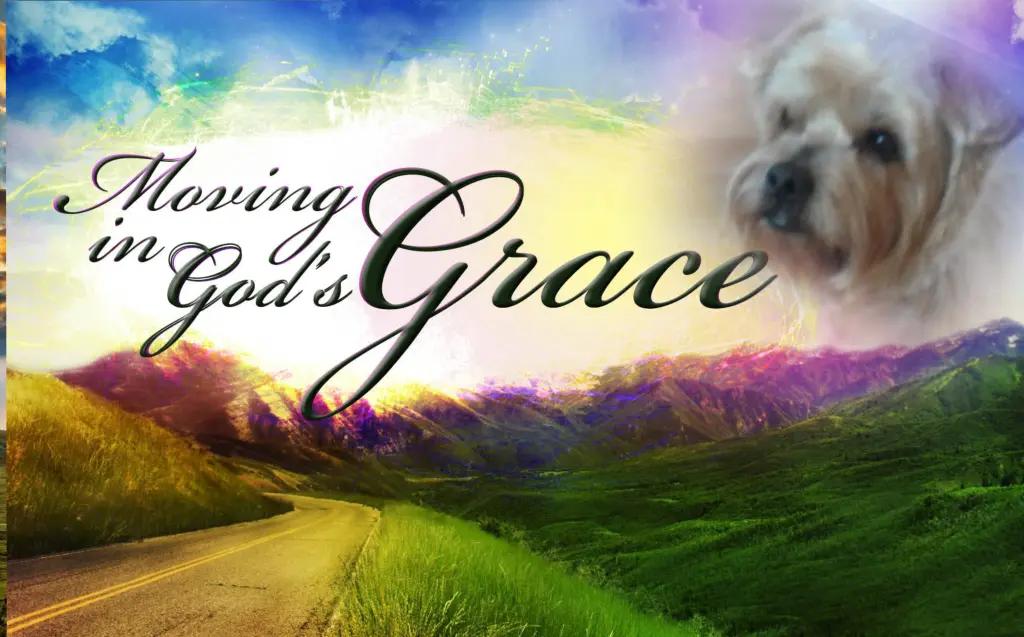 Condolence image of Dobranoc ❤️Jacki ❤️