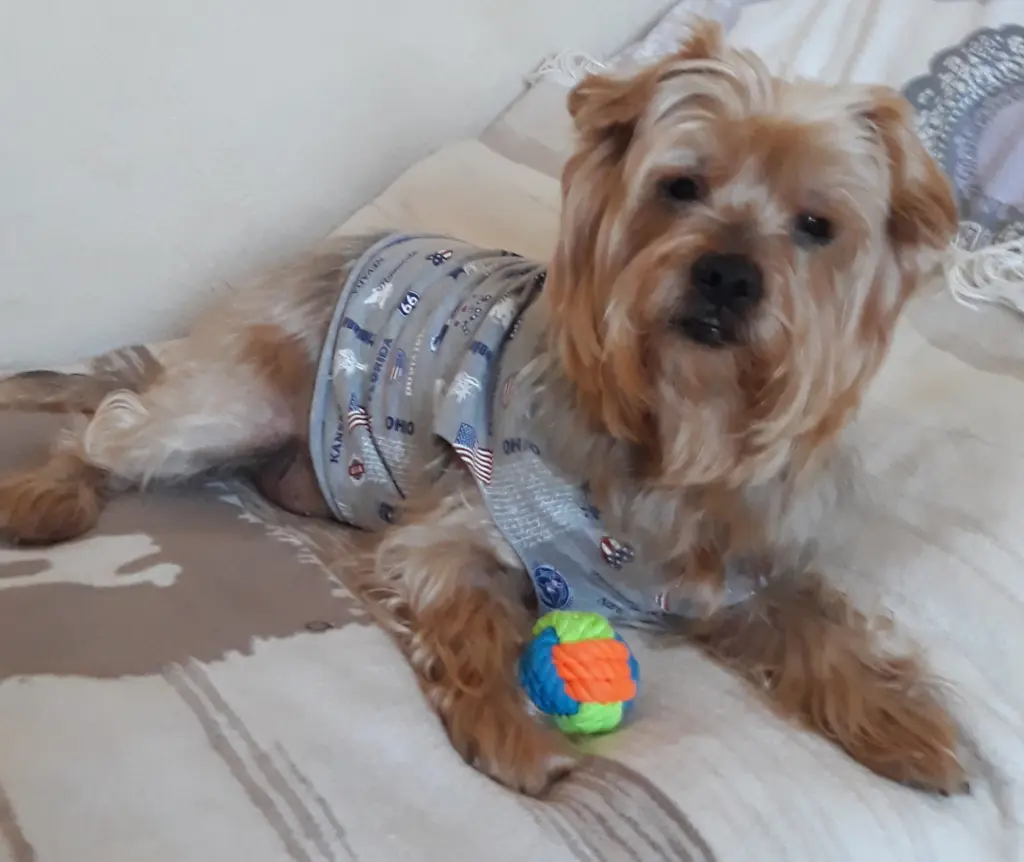 Condolence image of Ewa & Krzysztof 