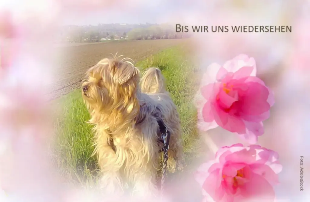 Condolence image of Ewa & Krzysztof 