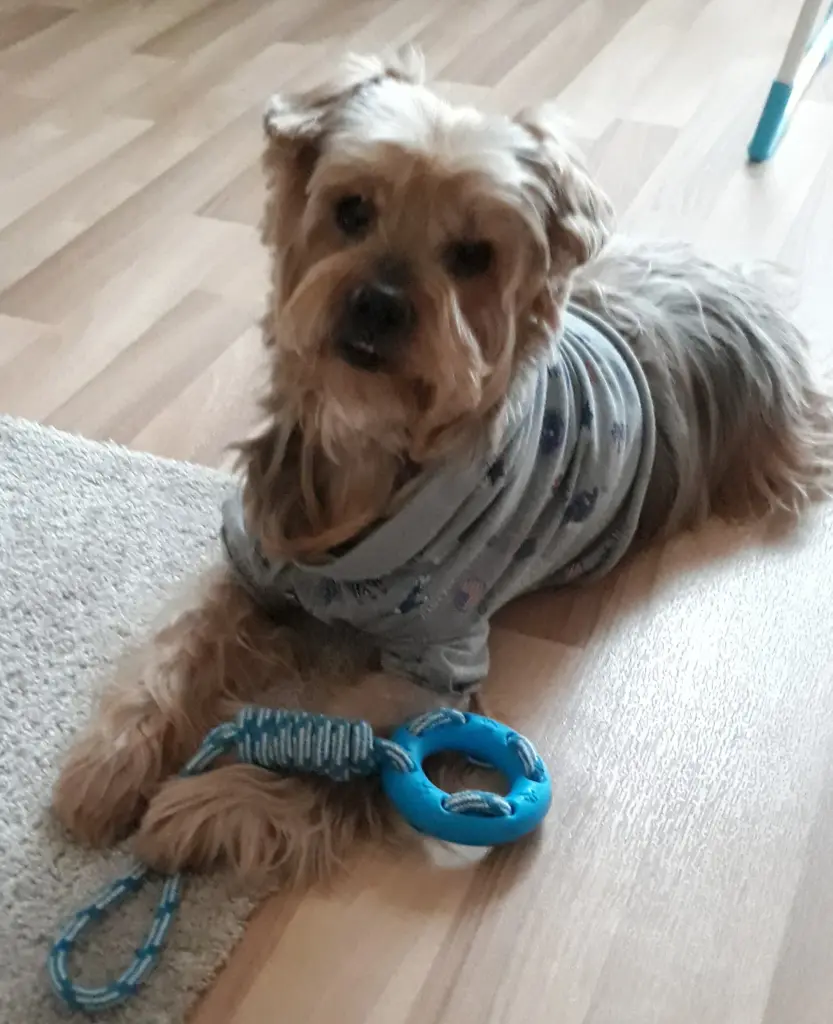 Condolence image of Ewa & Krzysztof 