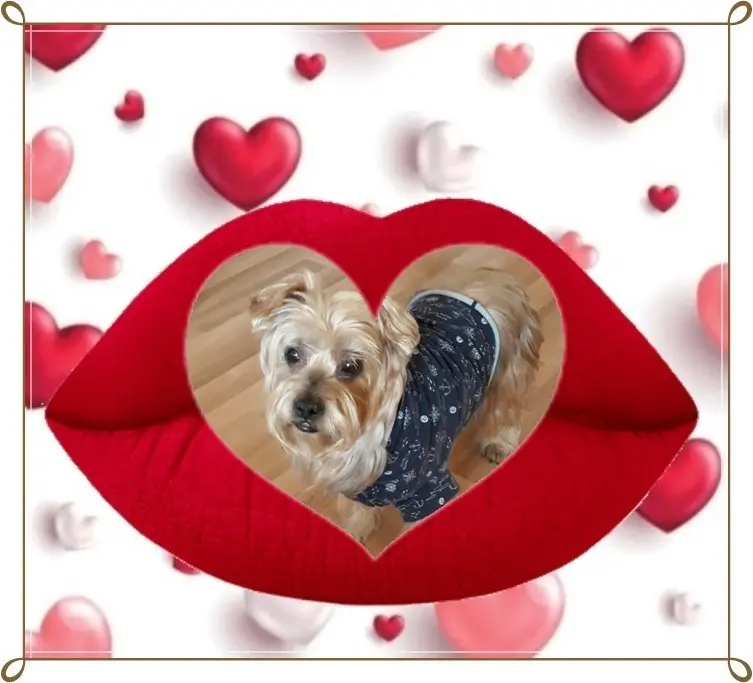 Condolence image of 56 Tygodni......Bez Ciebie❤️⭐️Najukochańszy❤️❤️❤️❤️❤️❤️❤️❤️❤️❤️❤️❤️Jackusiu❤️⭐️