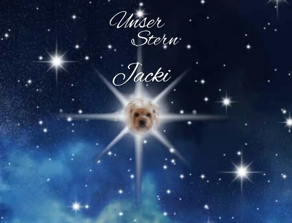 Condolence image of ⭐️❤️Gute Nacht Jackusiu❤️⭐️