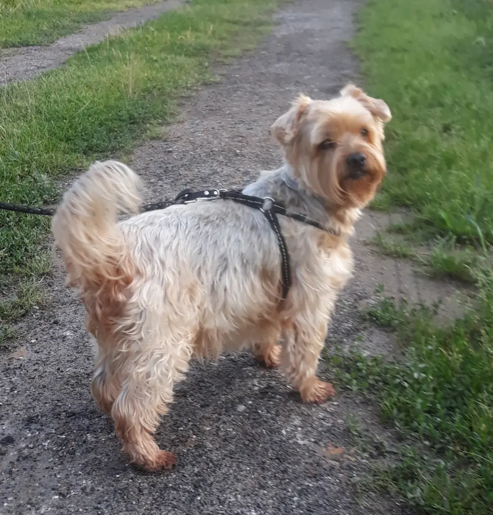 Condolence image of Ewa & Krzysztof 