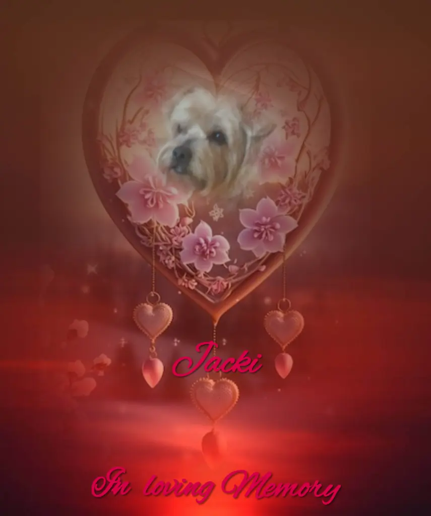 Condolence image of ♥️Make a wish ♥️