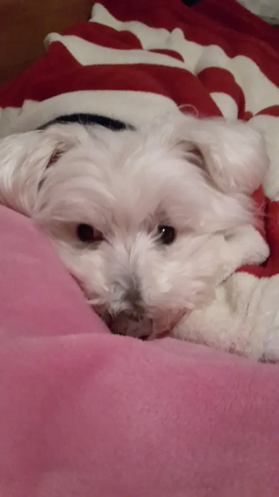 Condolence image of Ein herzlicher Gruß aus Bonn ♥️