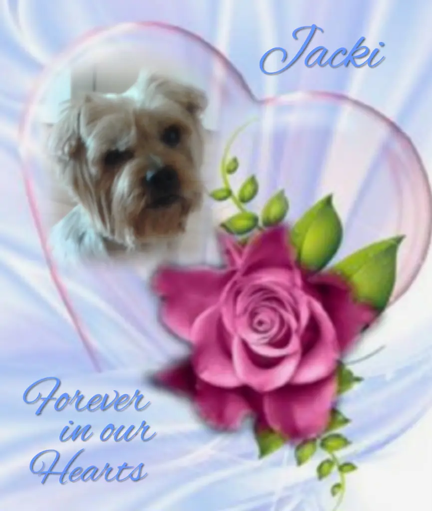 Condolence image of Ewa & Krzysztof 