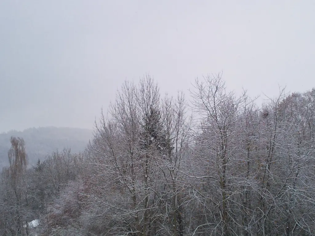 Condolence image of Manuela mit Seelenhund Flick