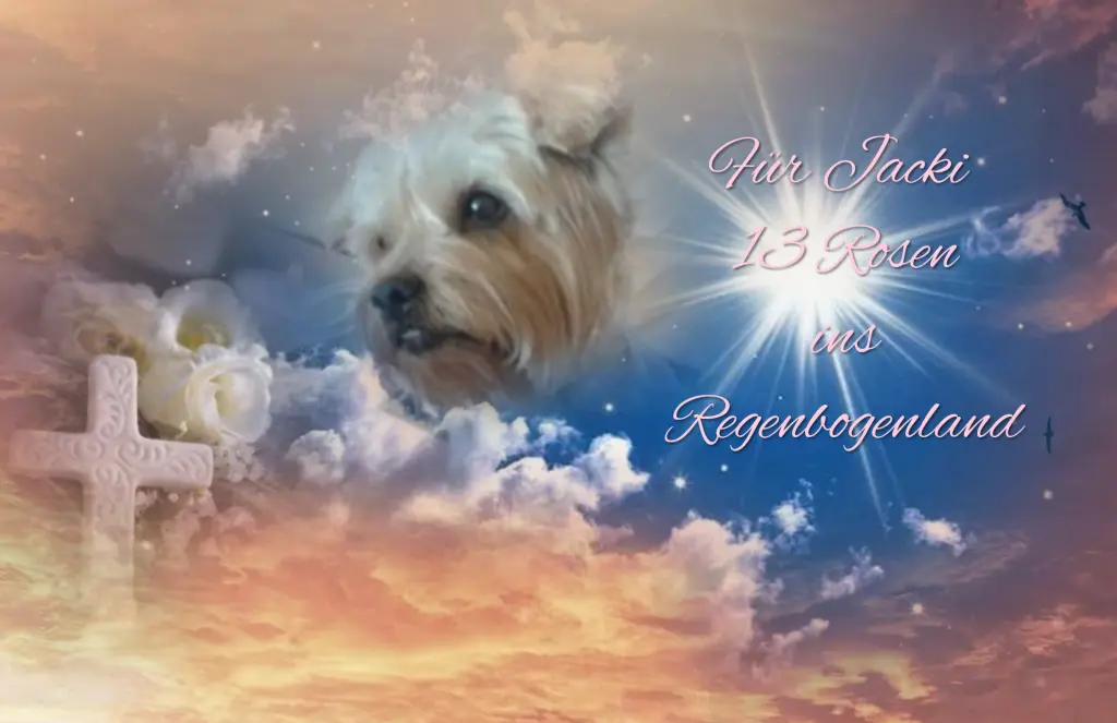 Condolence image of 13 Monate..... Sehnsucht ❤️