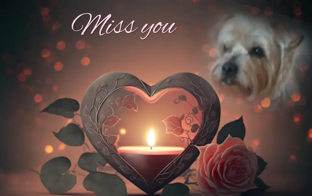 Condolence image of ❤️W wiecznej miłości❤️