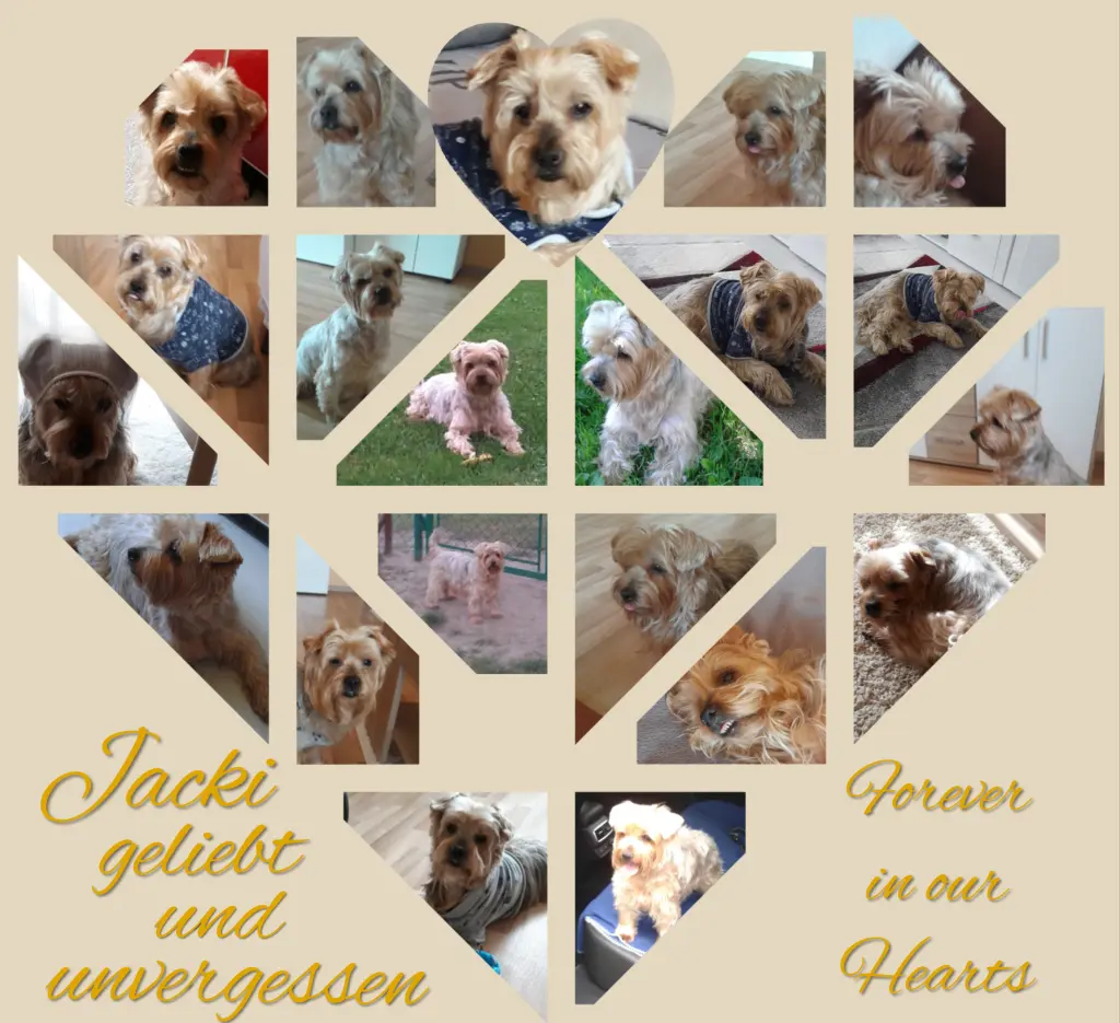 Condolence image of Ewa & Krzysztof 