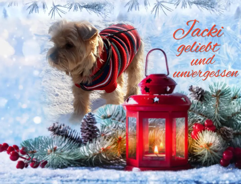 Condolence image of Sonntag...57 Wochen ohne Dich❤️ allerliebster Jackuś❤️...