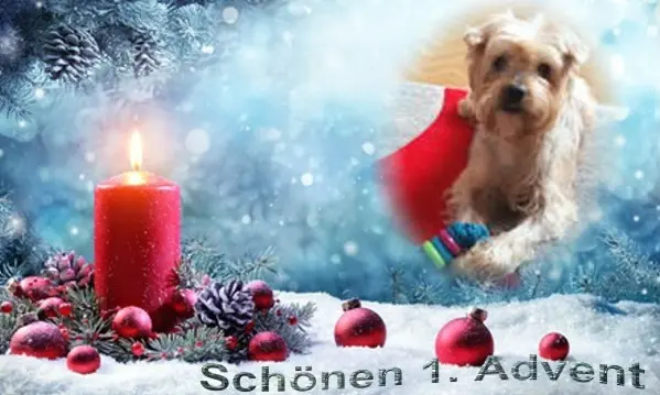 Condolence image of 57......Tygodni Bez Ciebie❤️⭐️Kochany❤️❤️❤️❤️❤️❤️❤️❤️Jackusiu❤️⭐️