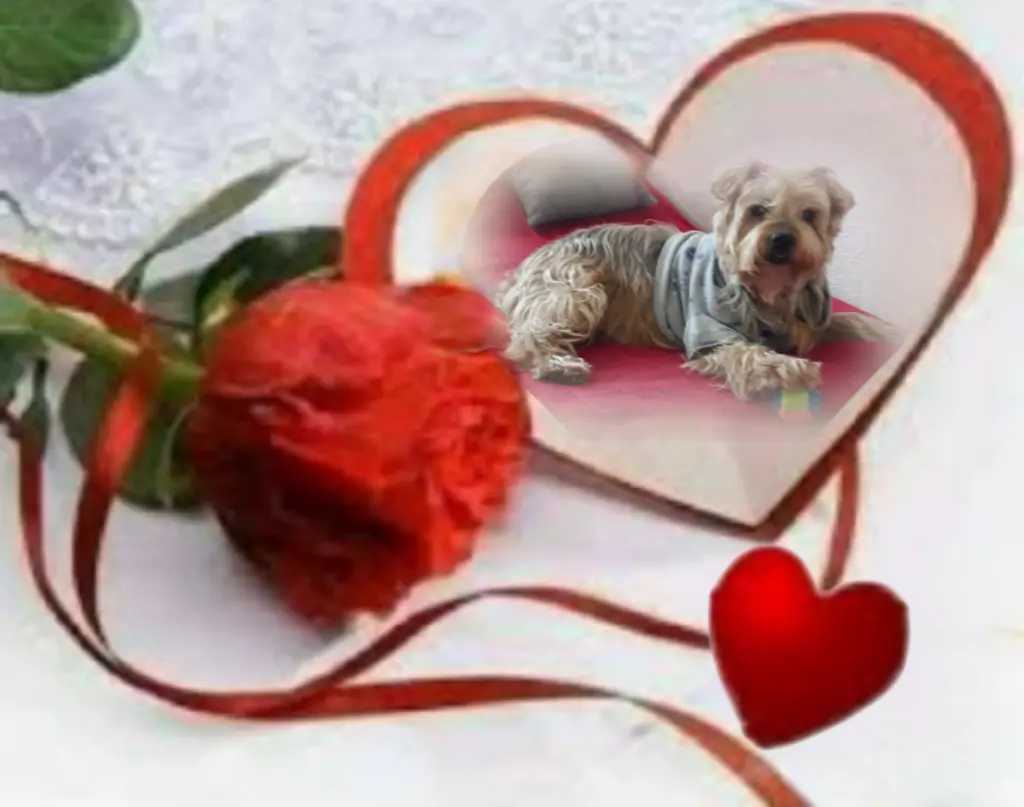 Condolence image of Ewa & Krzysztof 