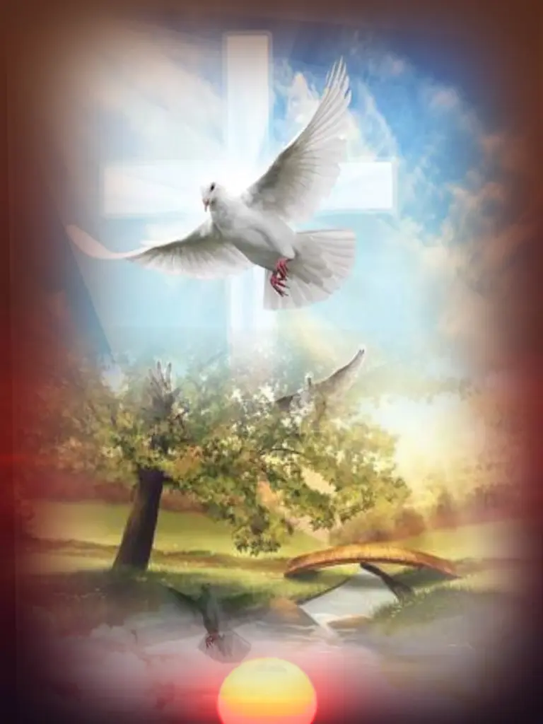 Condolence image of Dobranoc ❤️Jacki ❤️