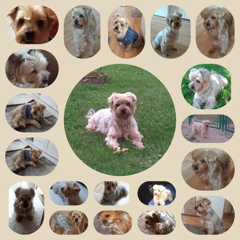 Condolence image of Ewa & Krzysztof 