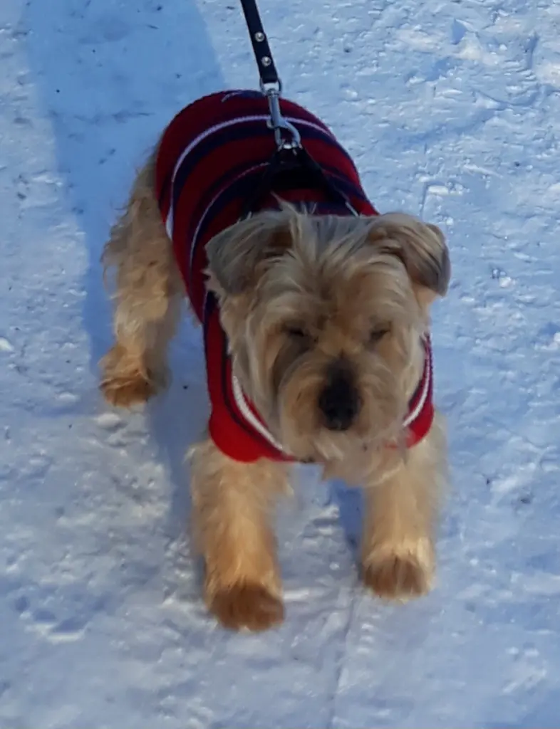 Condolence image of Ewa & Krzysztof 