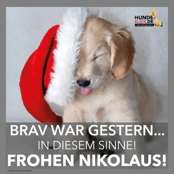 Condolence image of ASKO ❤️ 