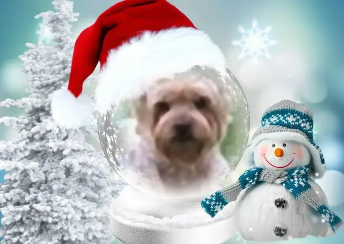 Condolence image of Św.Mikołaj❤️⭐️❤️dla Jackusia❤️⭐️