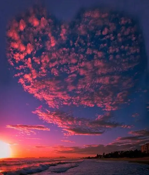 Condolence image of ♥️Guardian Angel♥️