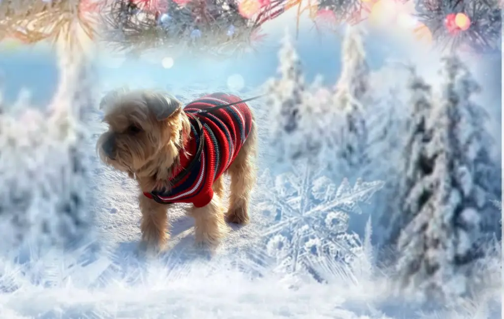 Condolence image of Ewa & Krzysztof 