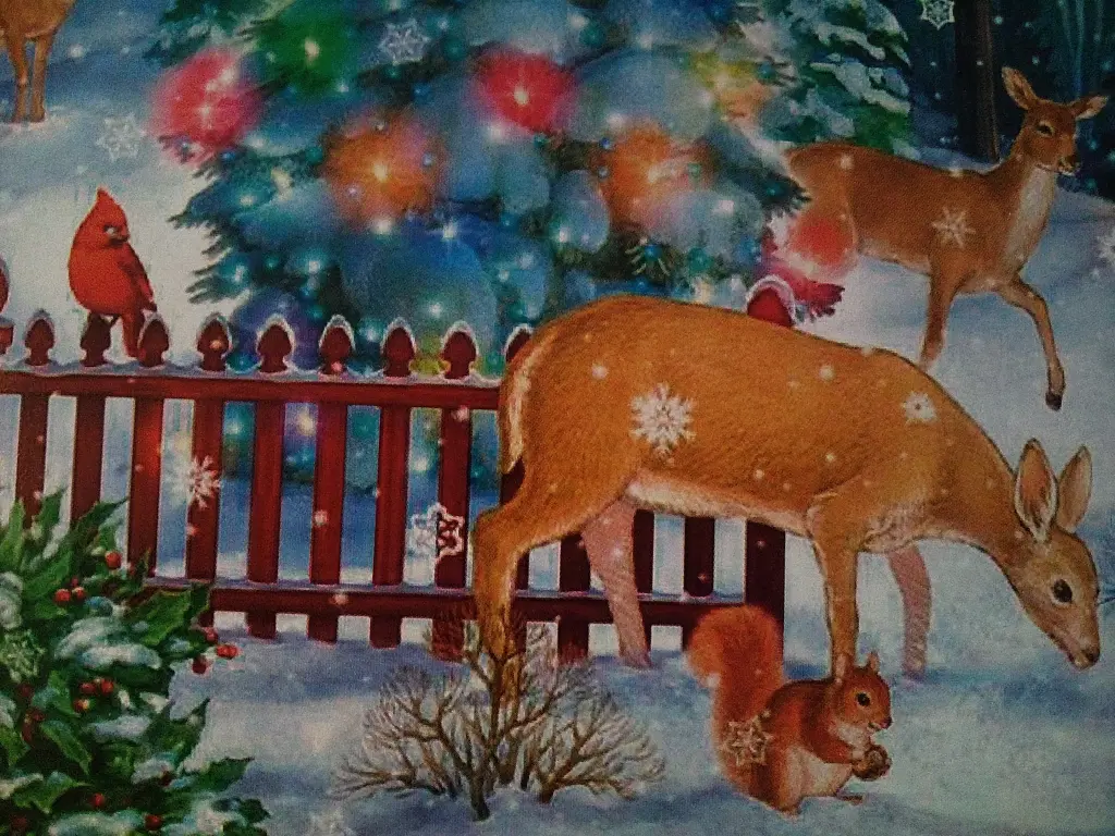 Condolence image of Manuela mit Seelenhund Flick