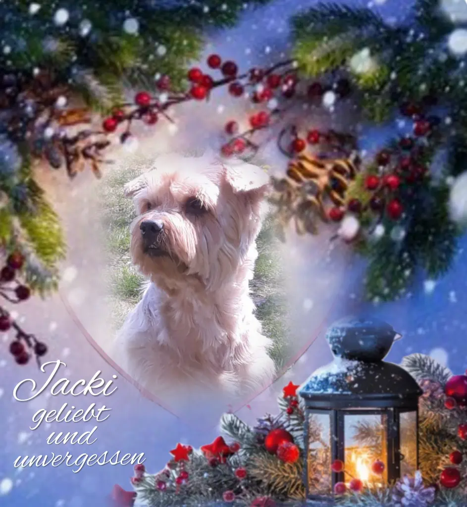 Condolence image of Sonntag...58 Wochen ohne Dich❤️ lieber Jackuś❤️...