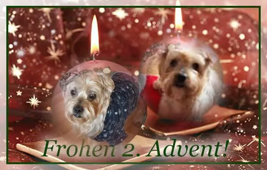 Condolence image of 58 Tygodni.....Bez Ciebie❤️⭐️Kochany❤️❤️❤️❤️❤️❤️❤️❤️Jackusiu❤️⭐️