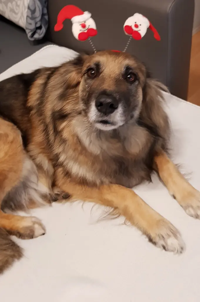 Condolence image of ❤️❤️❤️❤️❤️❤️❤️❤️❤️❤️❤️❤️