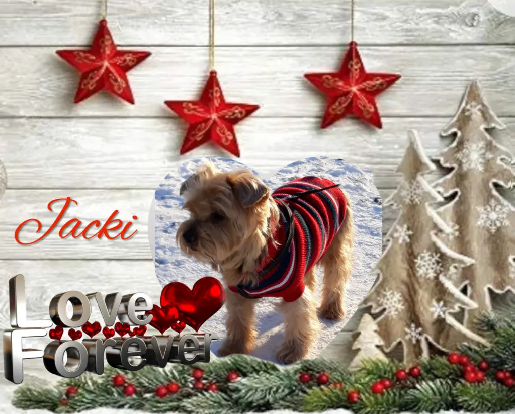 Condolence image of Ewa & Krzysztof 