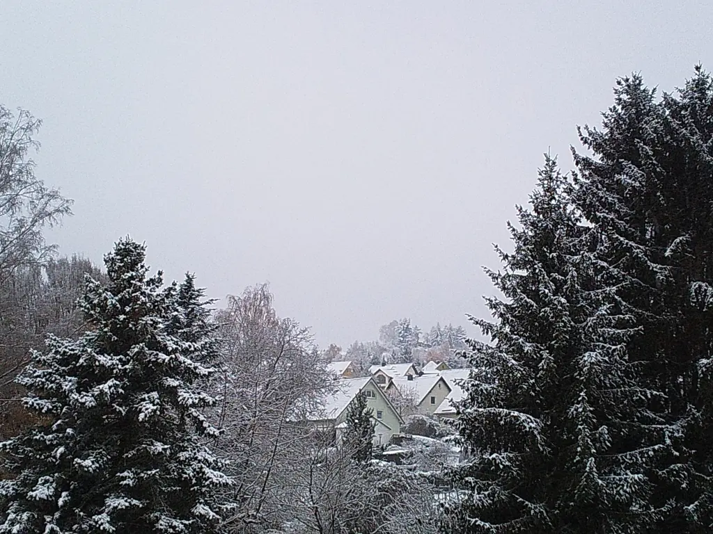 Condolence image of Manuela mit Seelenhund Flick