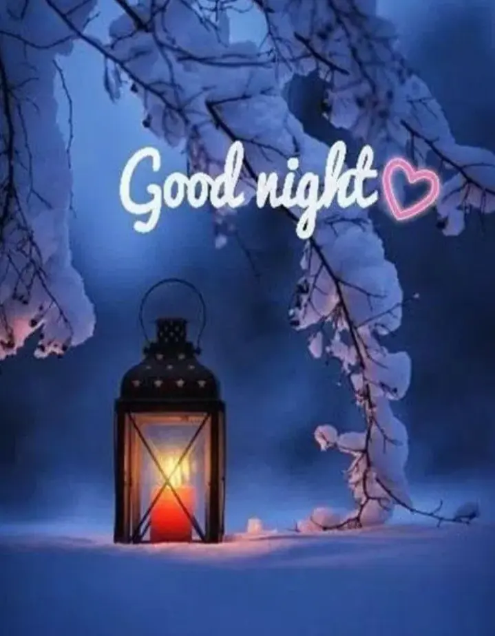 Condolence image of ⭐️❤️Gute Nacht Jackusiu❤️⭐️