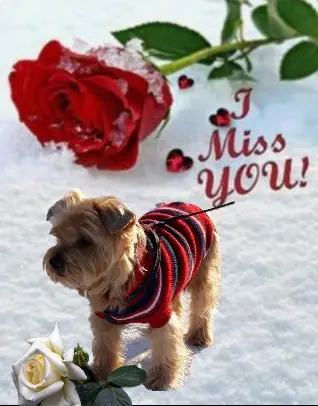 Condolence image of Ewa & Krzysztof 