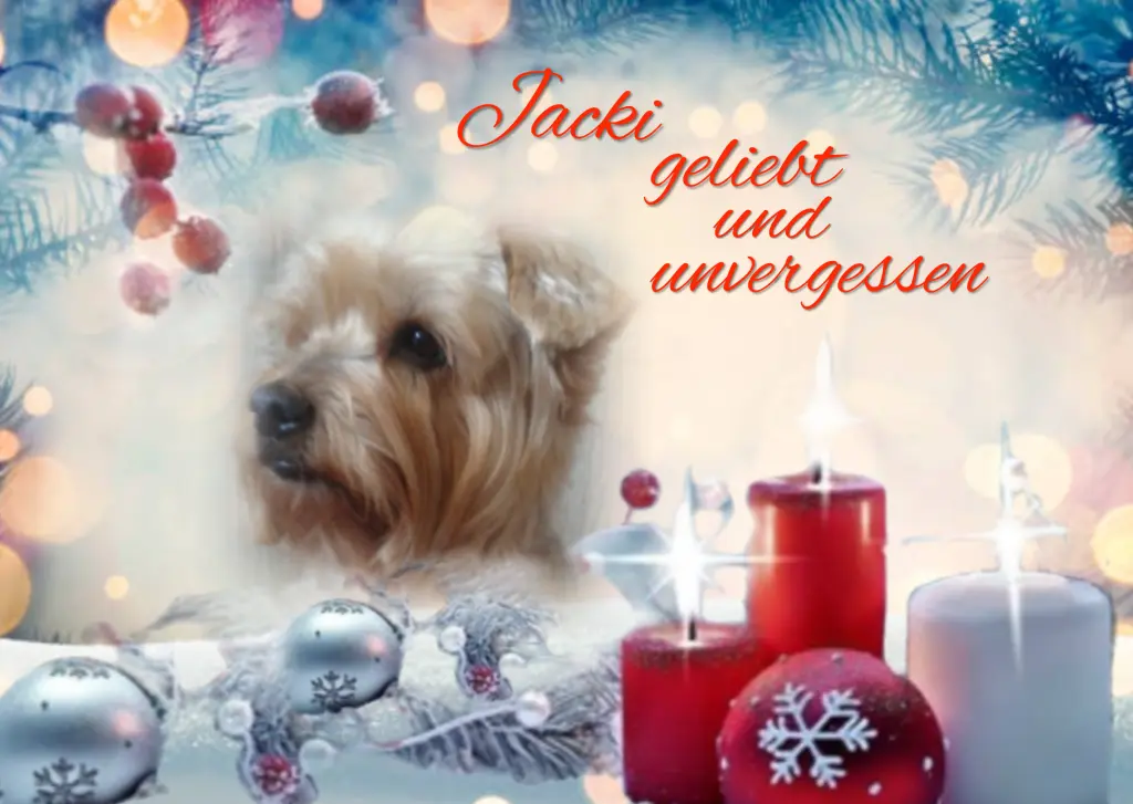 Condolence image of Sonntag...59 Wochen ohne Dich❤️ unser lieber Jackuś❤️... 