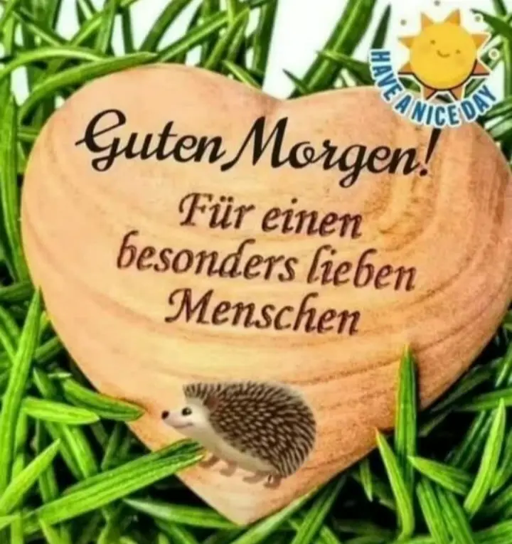 Condolence image of Martina mit Seelenhund Samy ♥️⭐♥️ für immer im Herzen 